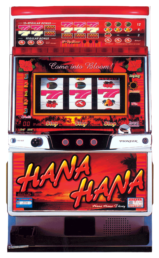 ハナハナ-30（パイオニア/2001年）